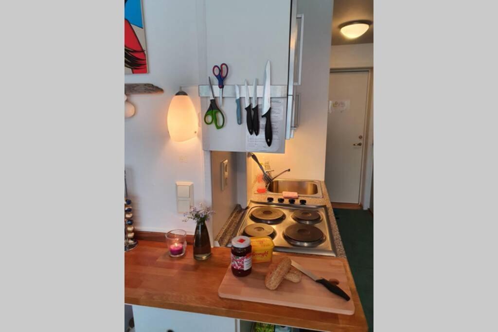 Fantastic And High Standard In Nordseter